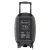 Ibiza Sound PORT 12 UHF MKII