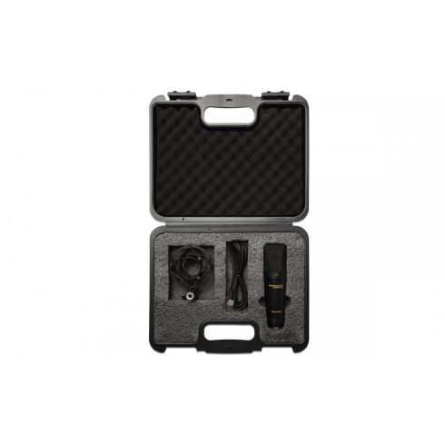 Marantz Professional MPM-2000U