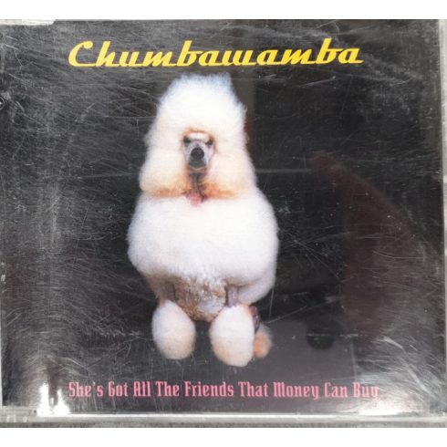Chumbawamba - She's got all the friends that money can buy