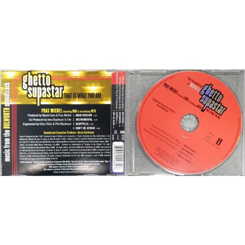 ghetto superstar - that is what you are