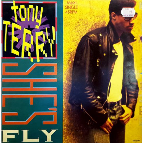 Tony Terry - She's fly
