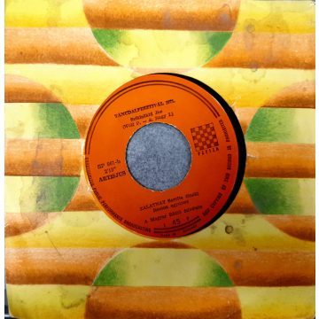 Zalatnay Sarolta - Fák, virágok, fény