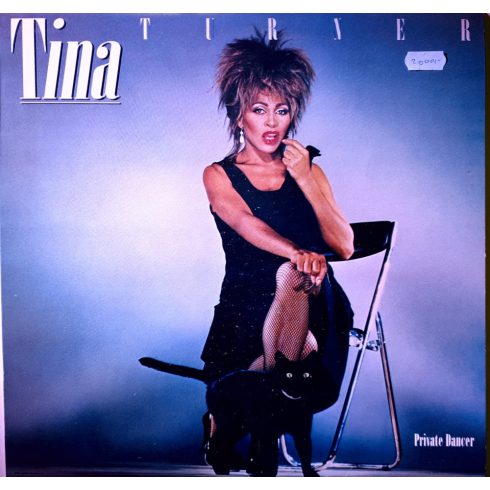 Tina Turner - Private Dancer